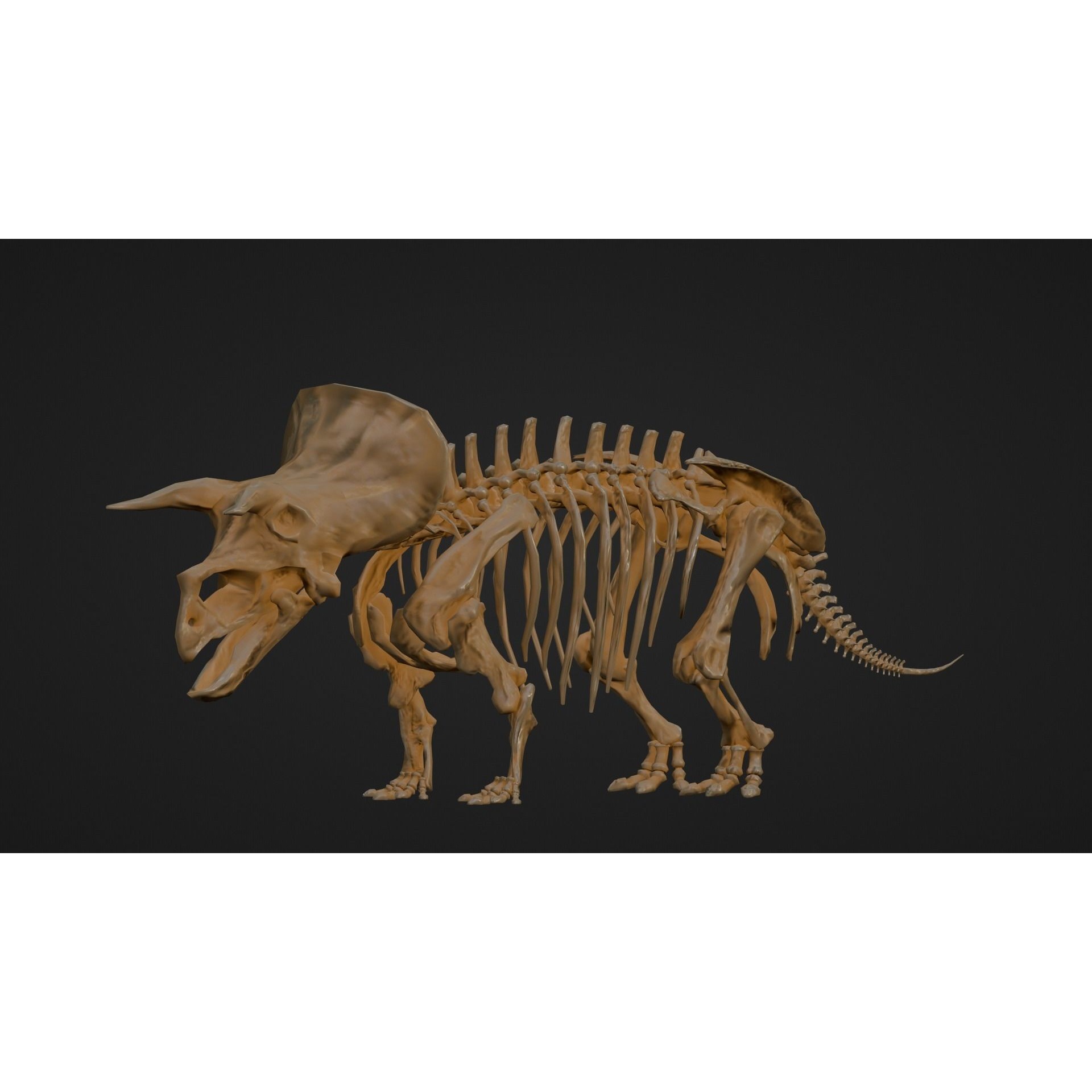 Triceratops - Low-Poly Game-Ready 3D Model - View 8