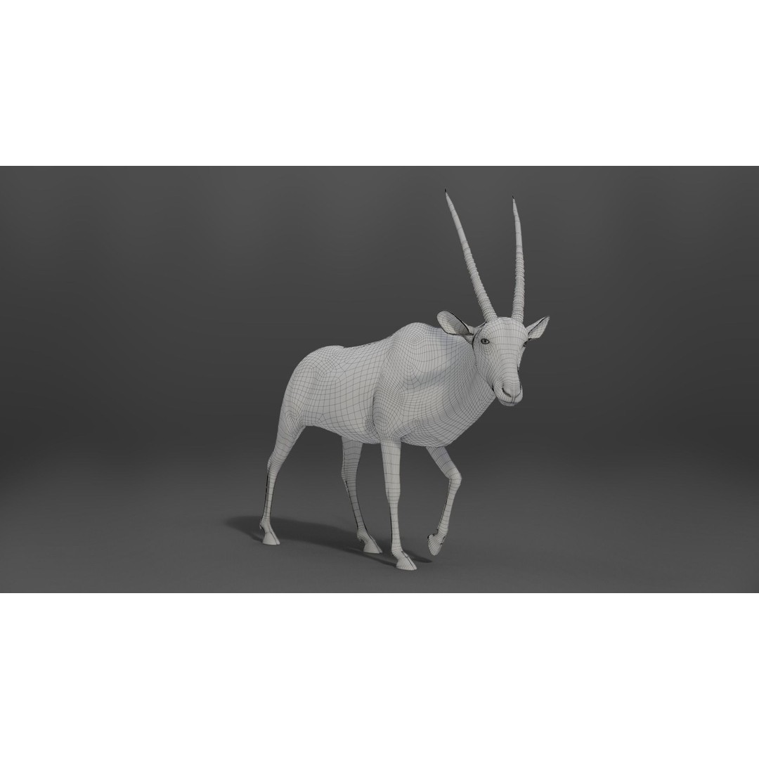 African Oryx 3D Model – Realistic Animated Rigged Asset, Blender & OBJ - View 10