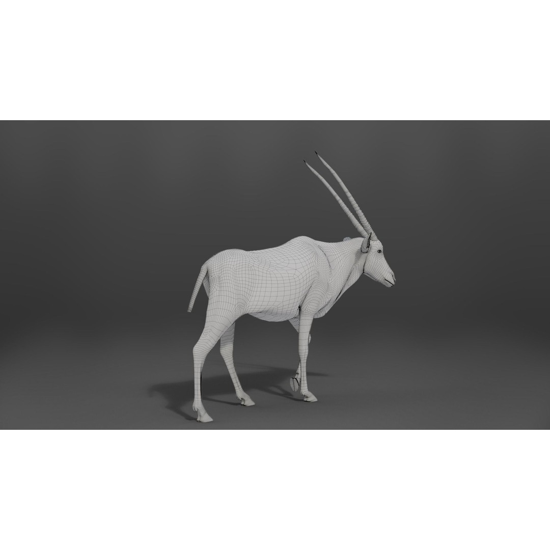 African Oryx 3D Model – Realistic Animated Rigged Asset, Blender & OBJ - View 11