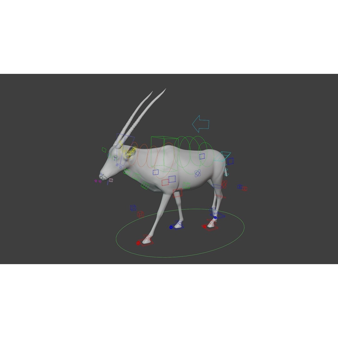 African Oryx 3D Model – Realistic Animated Rigged Asset, Blender & OBJ - View 12