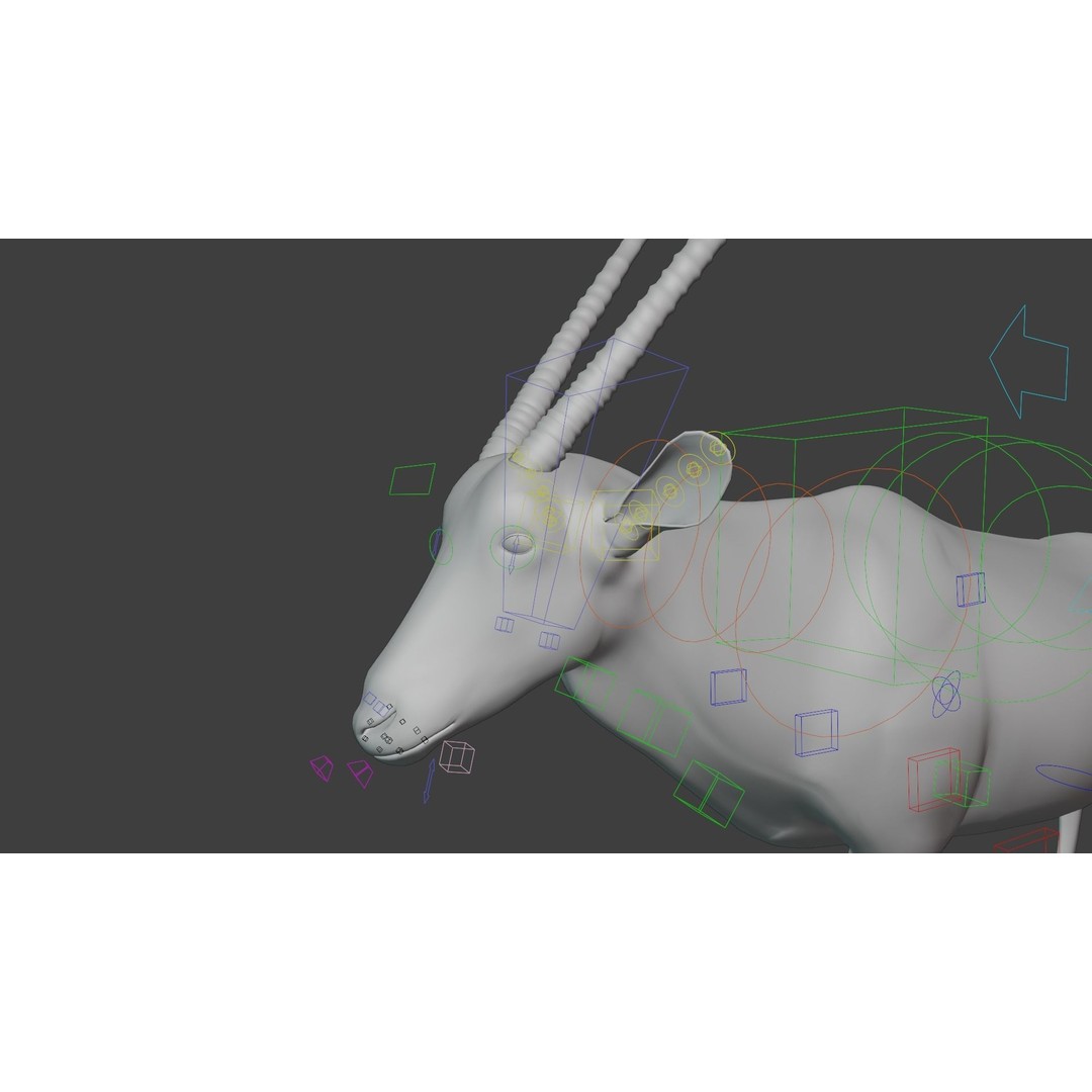 African Oryx 3D Model – Realistic Animated Rigged Asset, Blender & OBJ - View 13