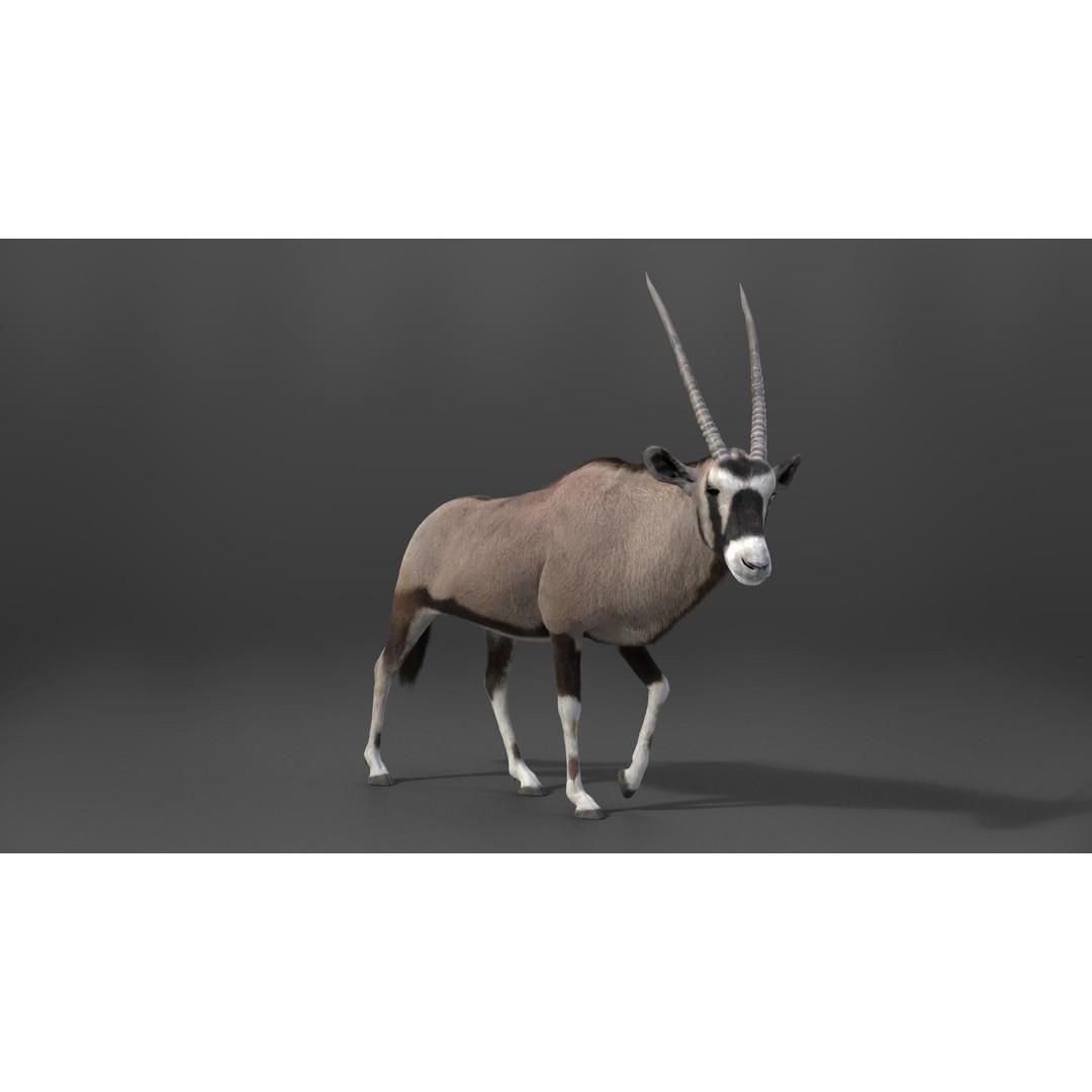 African Oryx 3D Model – Realistic Animated Rigged Asset, Blender & OBJ - View 4