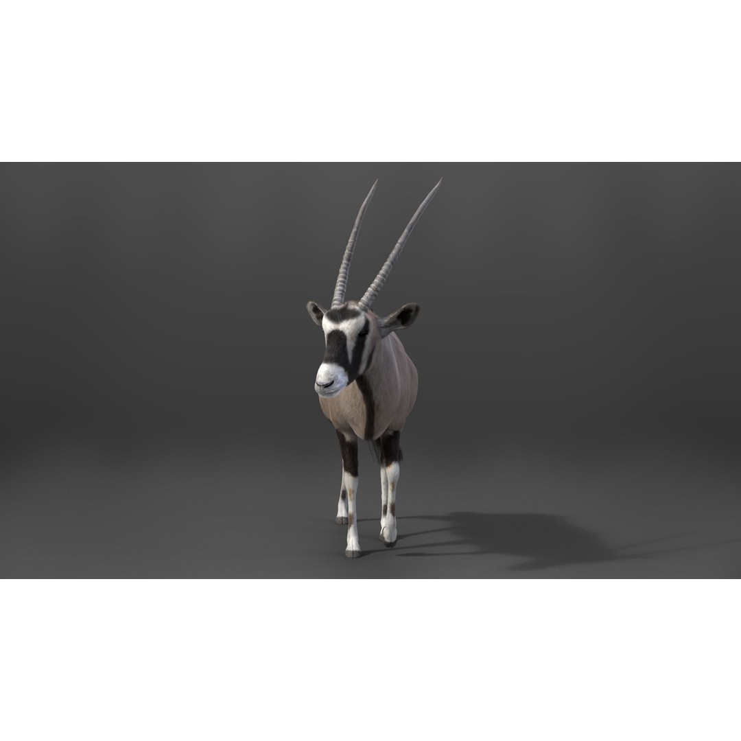 African Oryx 3D Model – Realistic Animated Rigged Asset, Blender & OBJ - View 5