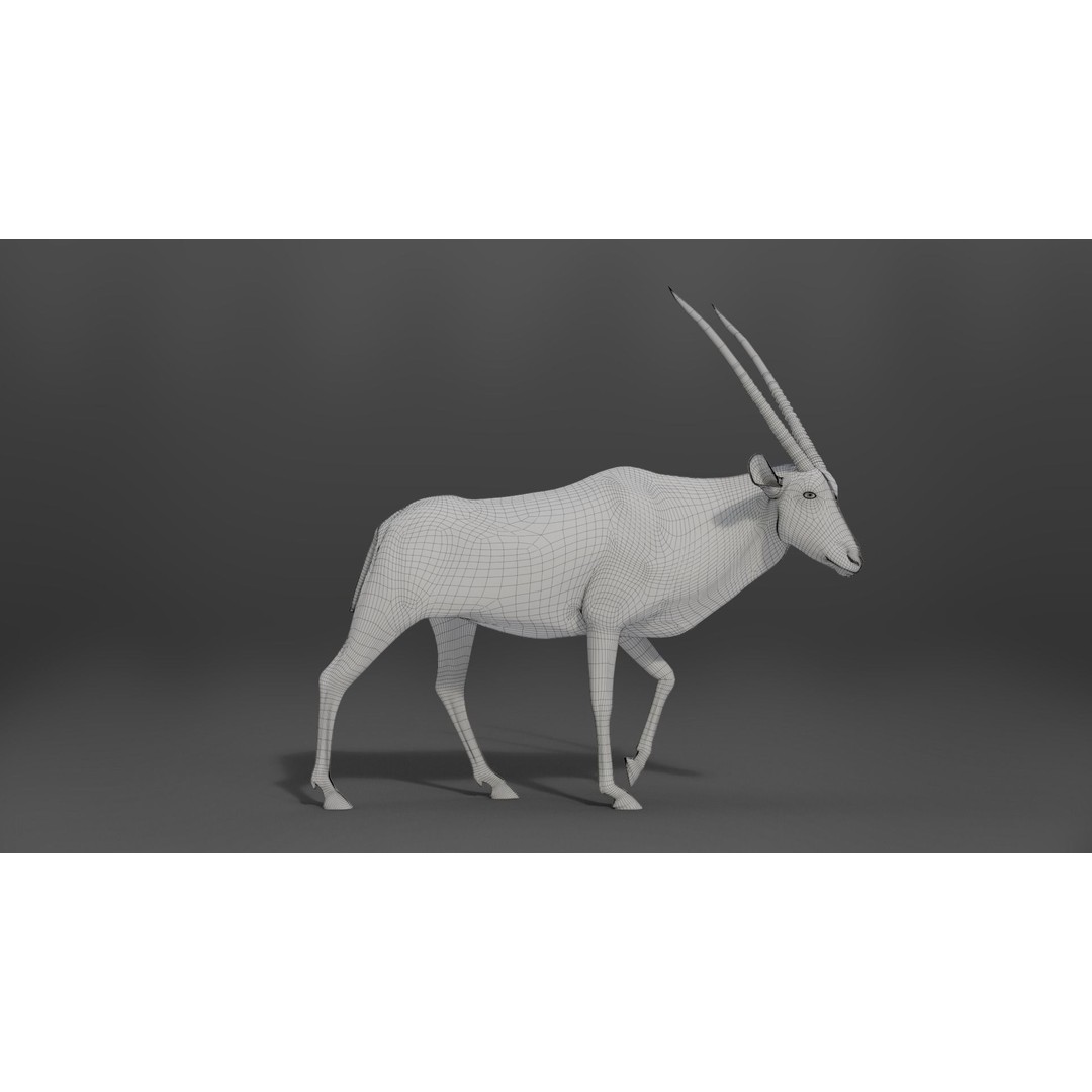 African Oryx 3D Model – Realistic Animated Rigged Asset, Blender & OBJ - View 9