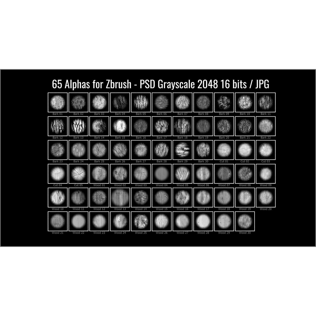 Wood and Bark 3D Model – ZBrush Brushes, Alphas & Patterns - View 16