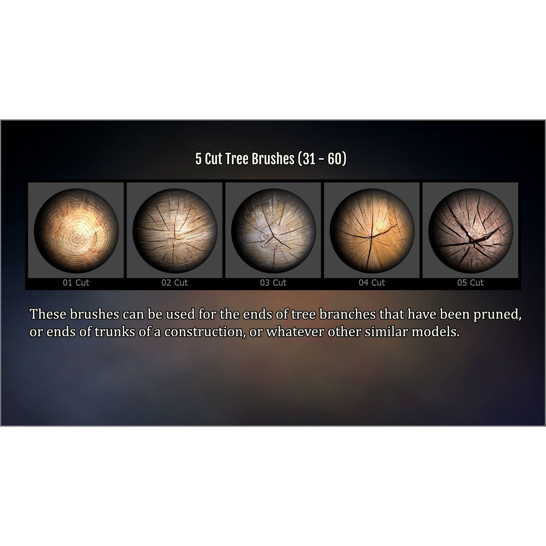 Wood and Bark 3D Model – ZBrush Brushes, Alphas & Patterns - View 8