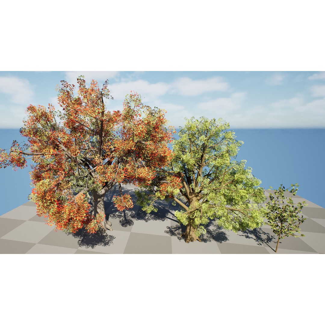 Quercus Tree Pack 3D Model – Low Poly Game Asset, FBX, PBR - View 11