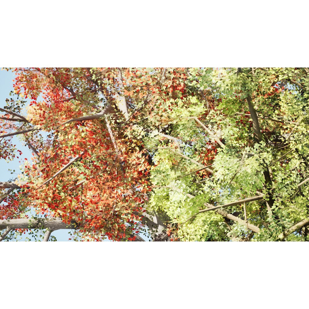 Quercus Tree Pack 3D Model – Low Poly Game Asset, FBX, PBR - View 12