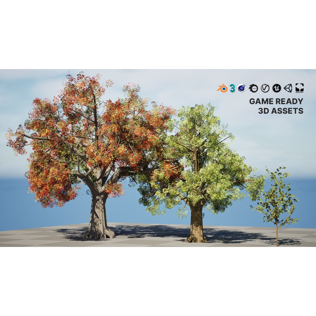 Quercus Tree Pack 3D Model – Low Poly Game Asset, FBX, PBR - View 3