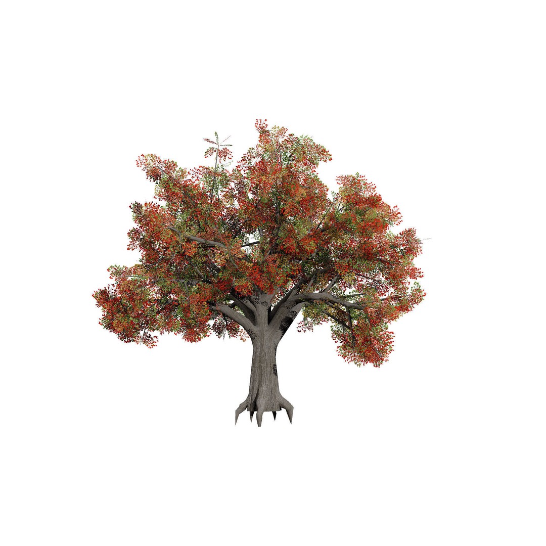 Quercus Tree Pack 3D Model – Low Poly Game Asset, FBX, PBR - View 6