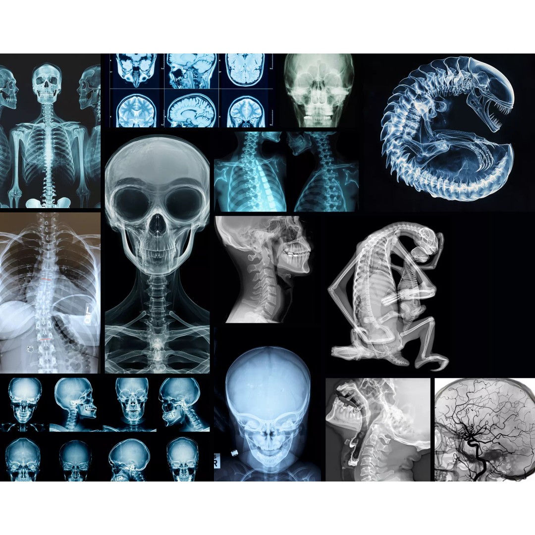 X-Ray Lab Texture Collection – Unique High-Resolution PNG Textures