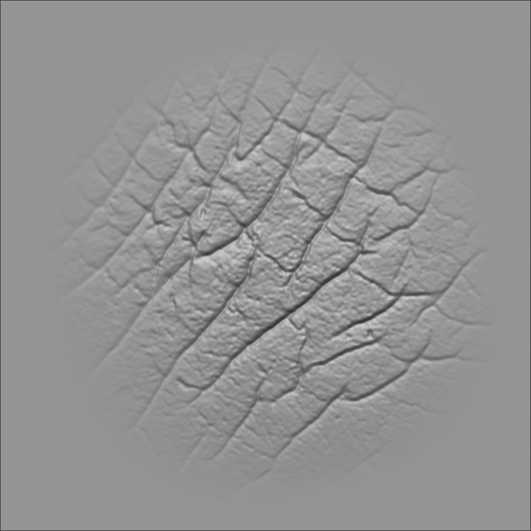 Leather Textures 3D Model – 70 Alpha Textures & 30 Brushes for ZBrush - View 42