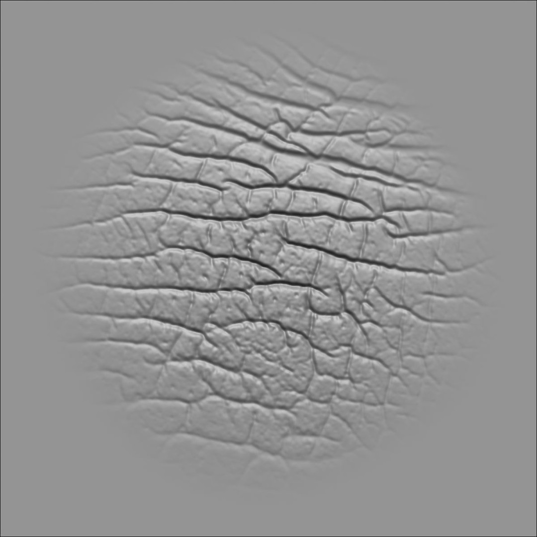 Leather Textures 3D Model – 70 Alpha Textures & 30 Brushes for ZBrush - View 43