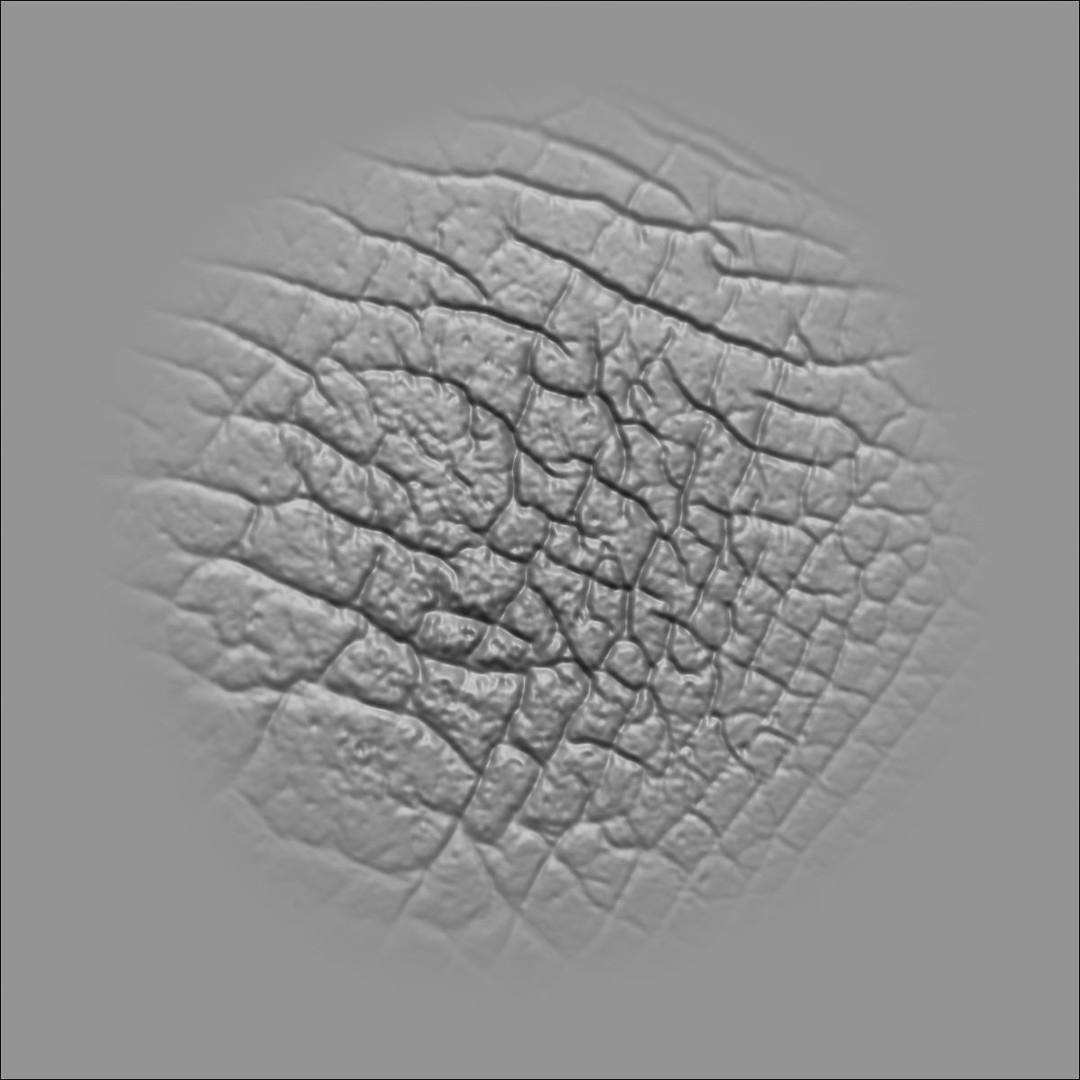 Leather Textures 3D Model – 70 Alpha Textures & 30 Brushes for ZBrush - View 46