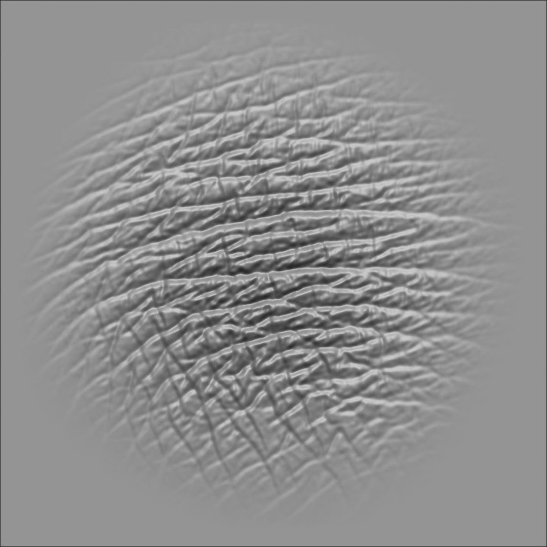 Leather Textures 3D Model – 70 Alpha Textures & 30 Brushes for ZBrush - View 50