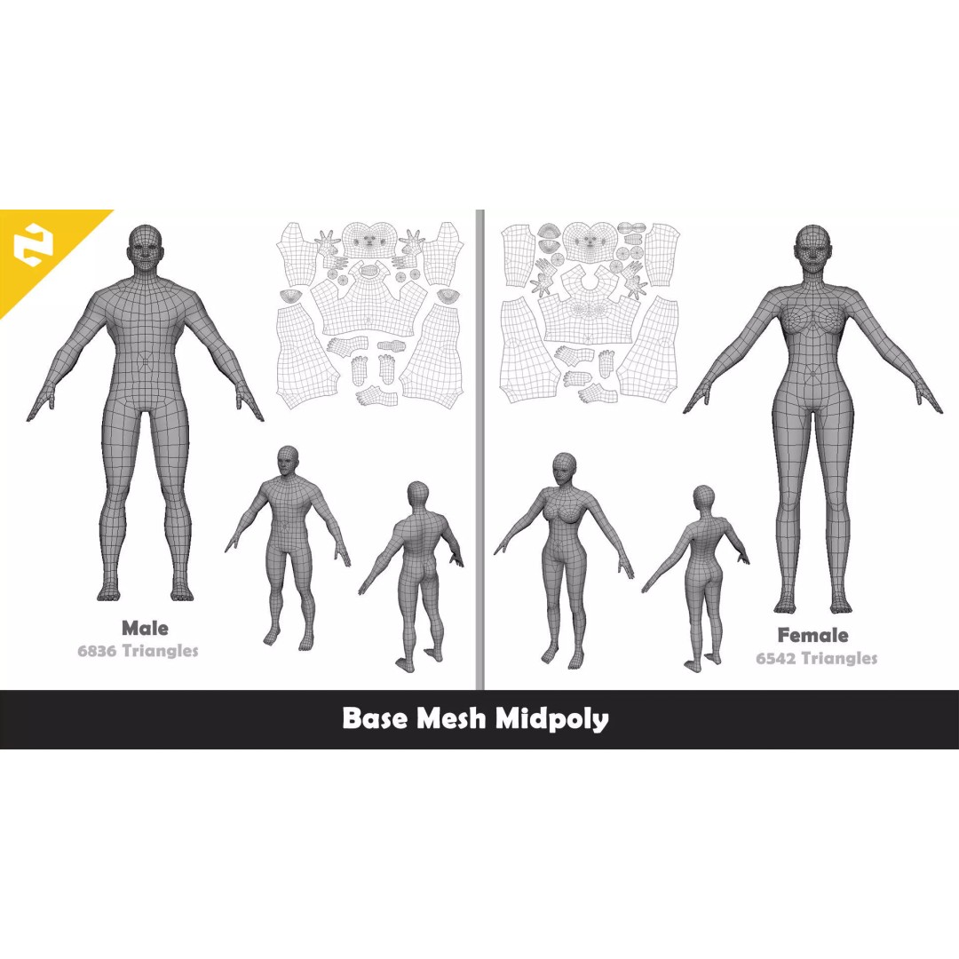Family Base Mesh 3D Model – Low Poly Character Set, FBX - View 5