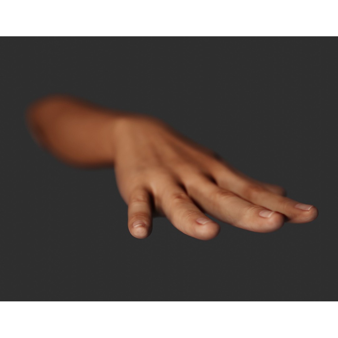 Female Right Hand 3D Model – Realistic PBR Asset, Blender, FBX, OBJ - View 10