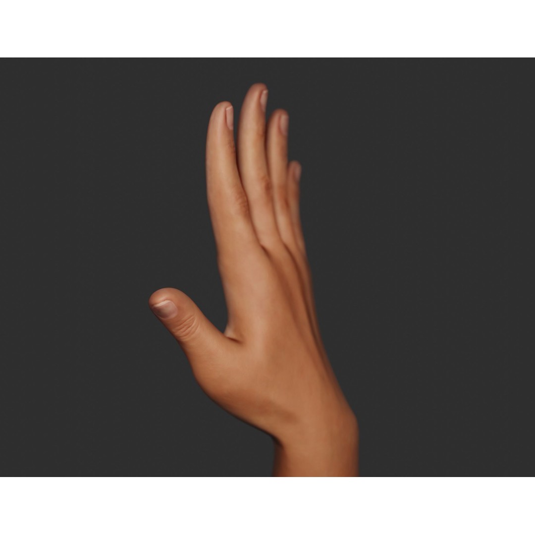 Female Right Hand 3D Model – Realistic PBR Asset, Blender, FBX, OBJ - View 12