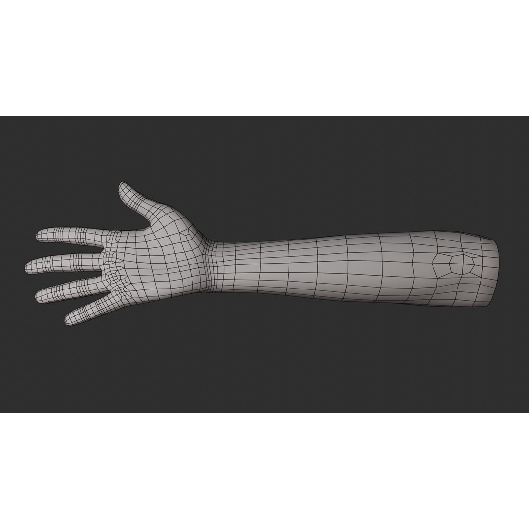 Female Right Hand 3D Model – Realistic PBR Asset, Blender, FBX, OBJ - View 15