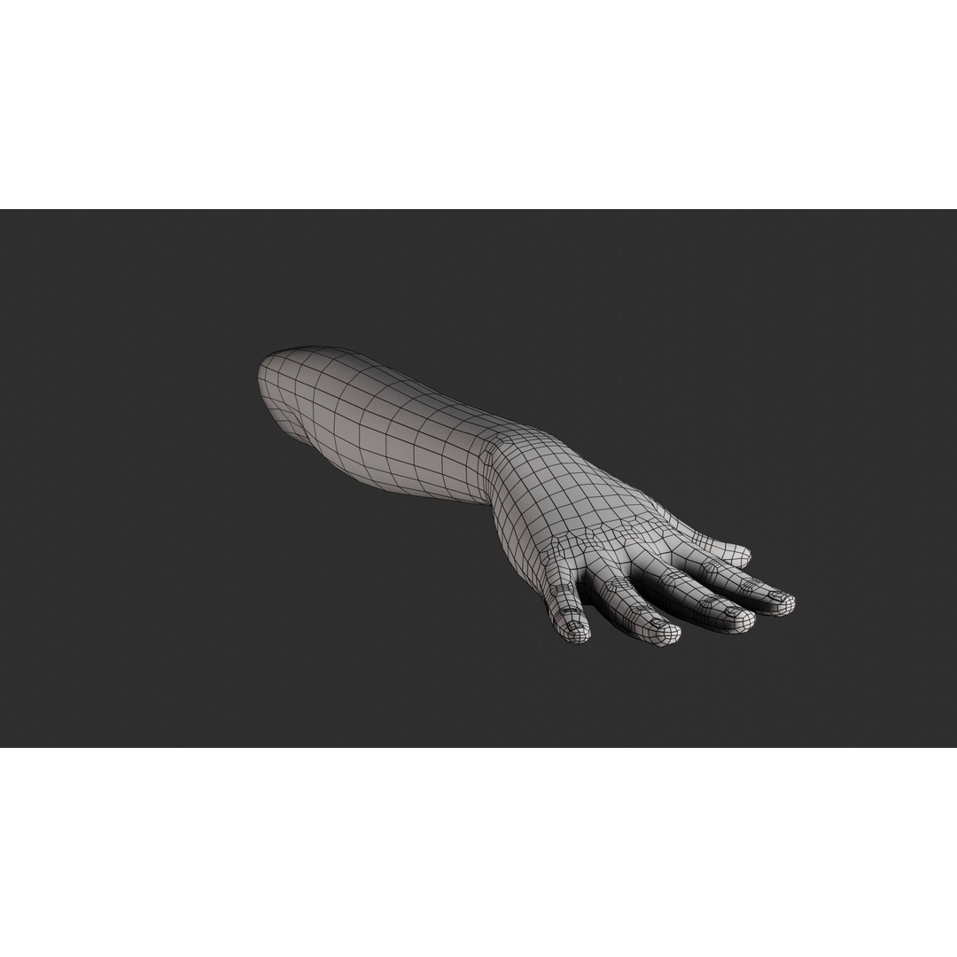 Female Right Hand 3D Model – Realistic PBR Asset, Blender, FBX, OBJ - View 17