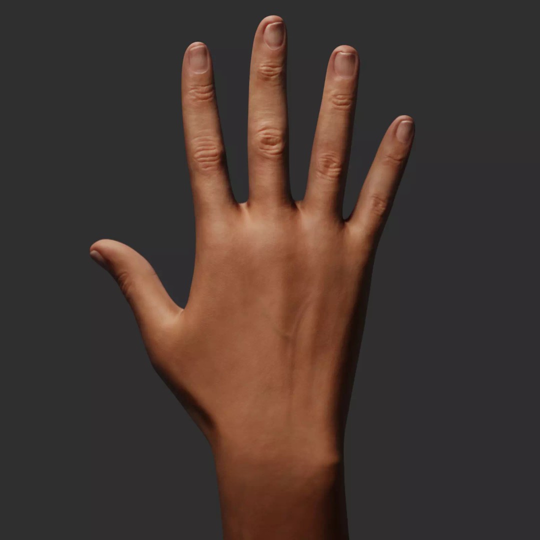 Female Right Hand 3D Model – Realistic PBR Asset, Blender, FBX, OBJ - View 2