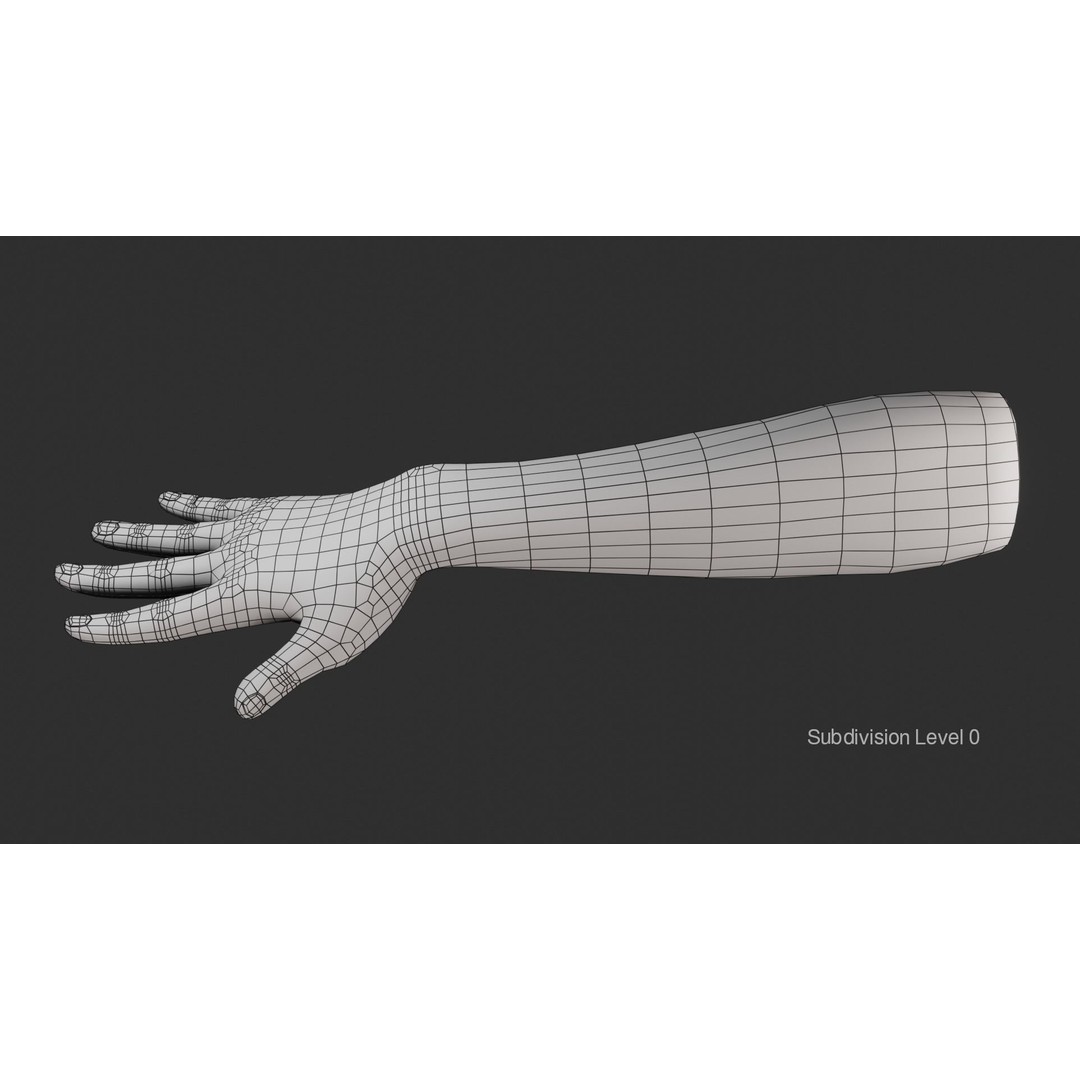 Female Right Hand 3D Model – Realistic PBR Asset, Blender, FBX, OBJ - View 21
