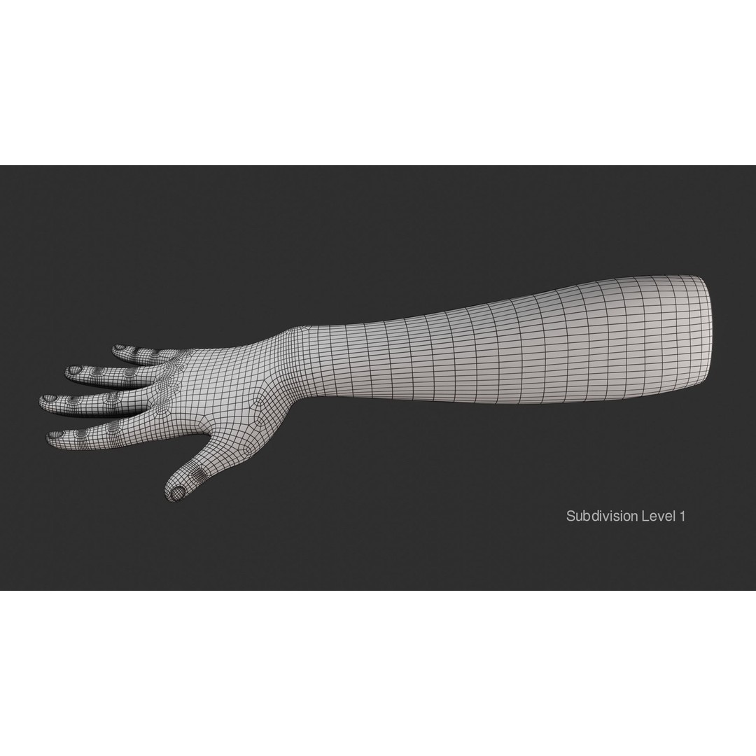 Female Right Hand 3D Model – Realistic PBR Asset, Blender, FBX, OBJ - View 22