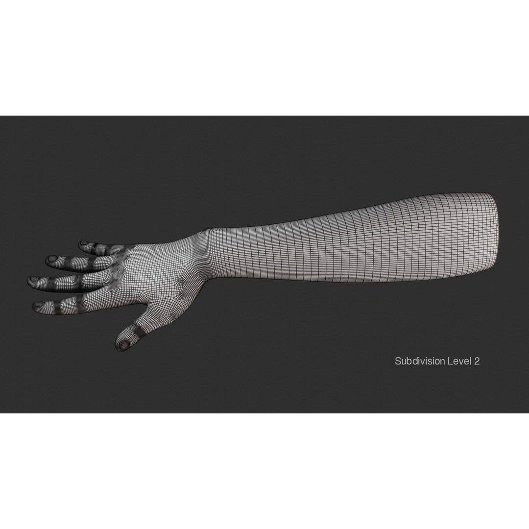 Female Right Hand 3D Model – Realistic PBR Asset, Blender, FBX, OBJ - View 23