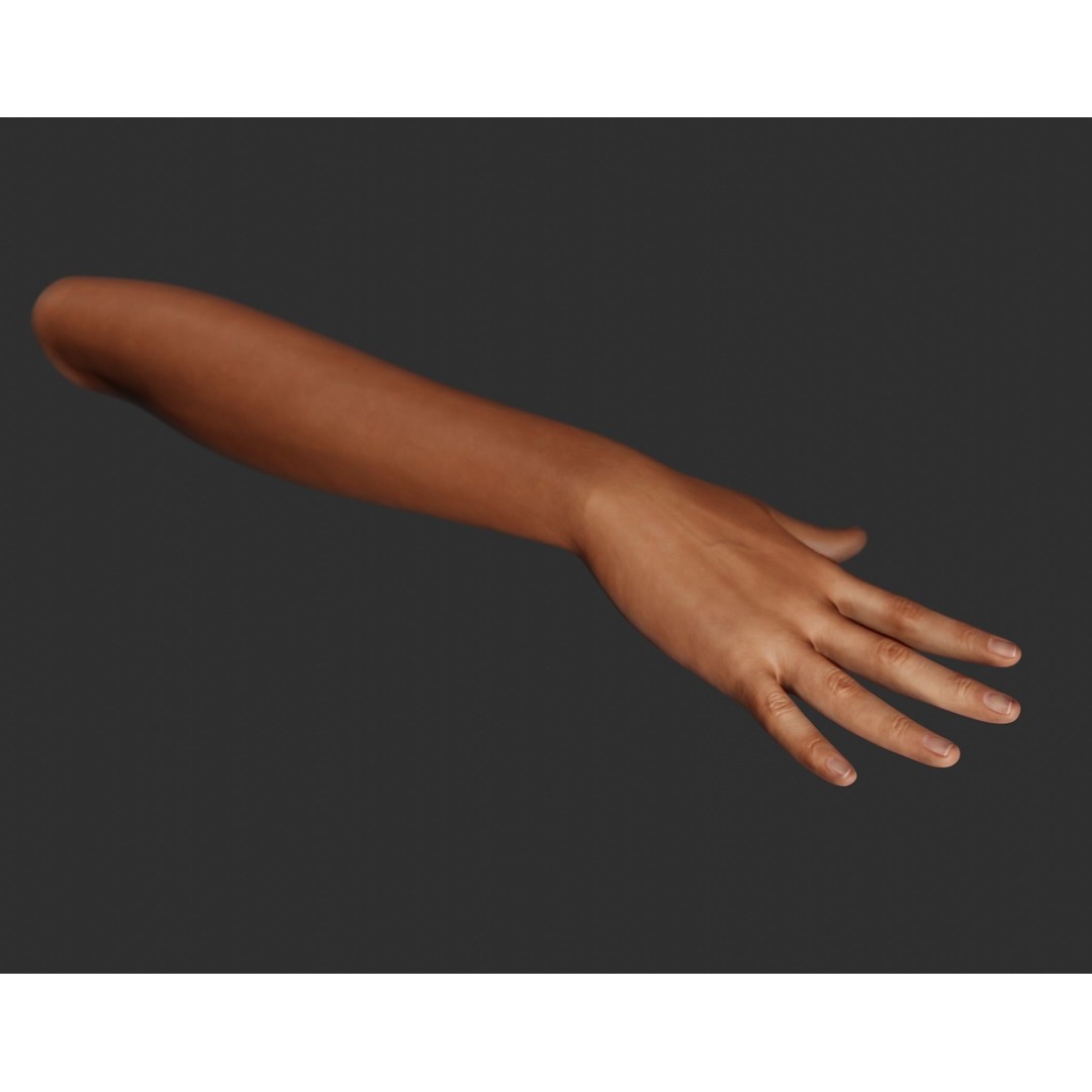 Female Right Hand 3D Model – Realistic PBR Asset, Blender, FBX, OBJ - View 5