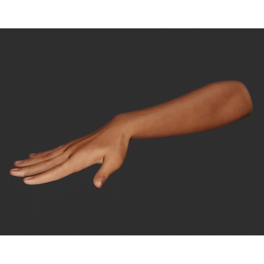 Female Right Hand 3D Model – Realistic PBR Asset, Blender, FBX, OBJ - View 7
