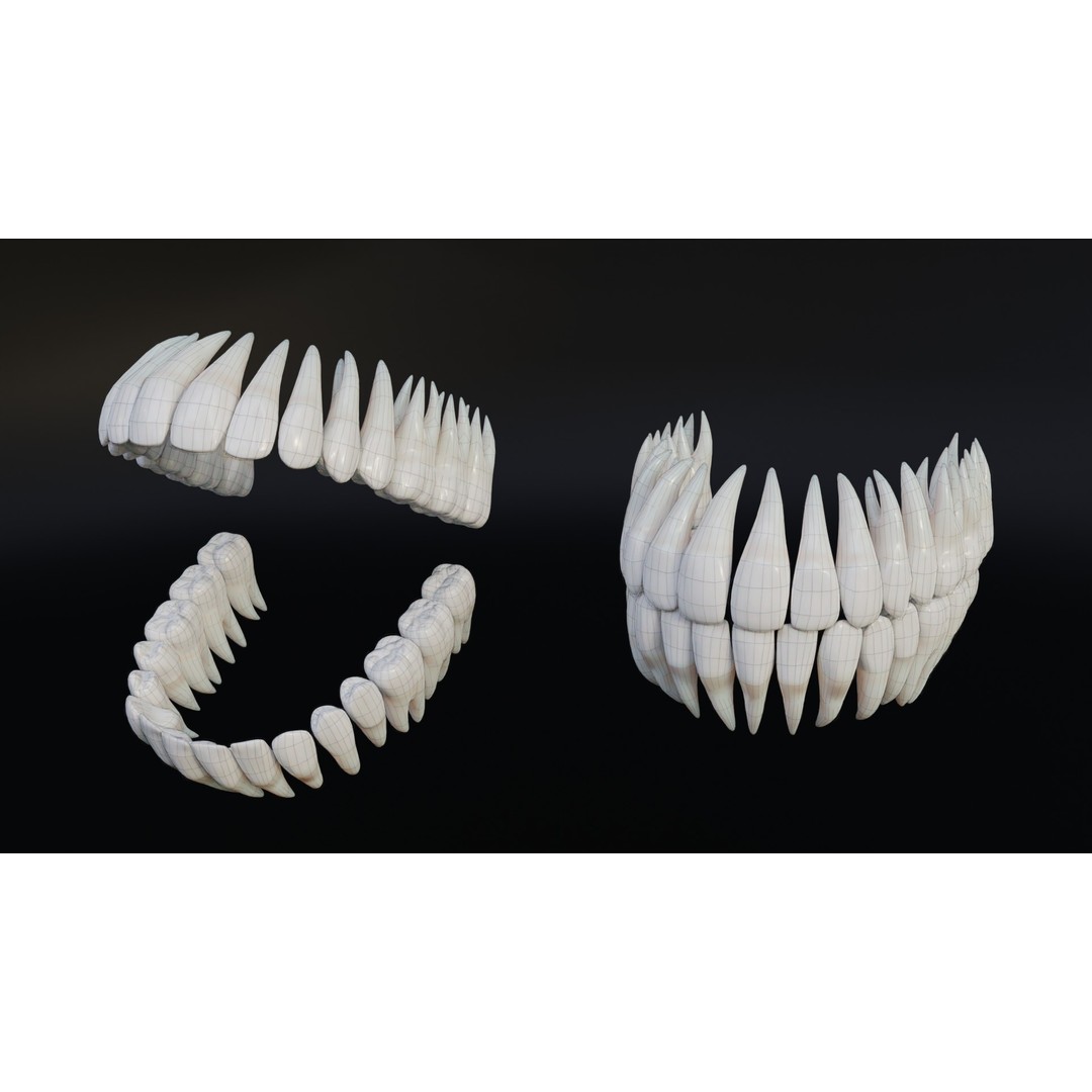 Realistic Human Teeth 3D Model – Low Poly Game Ready with PBR Textures - View 10