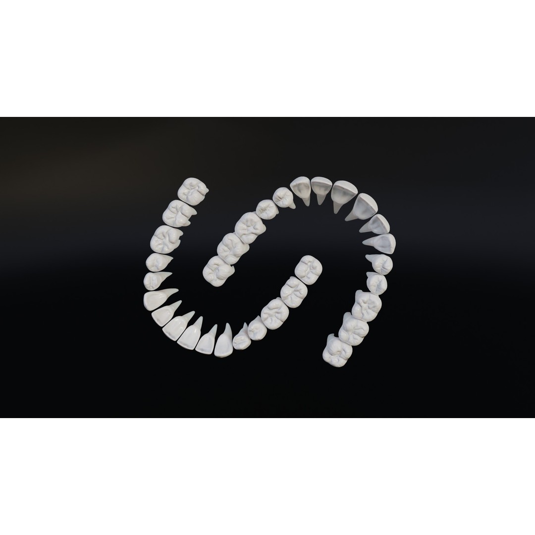 Realistic Human Teeth 3D Model – Low Poly Game Ready with PBR Textures - View 12