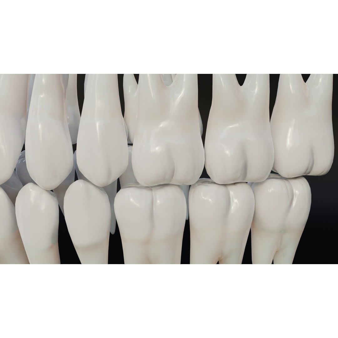 Realistic Human Teeth 3D Model – Low Poly Game Ready with PBR Textures - View 15