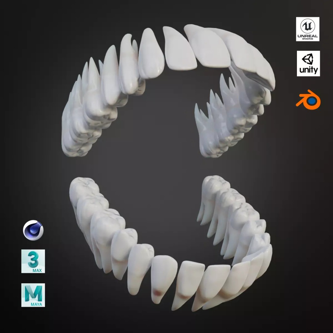 Realistic Human Teeth 3D Model – Low Poly Game Ready with PBR Textures - View 2