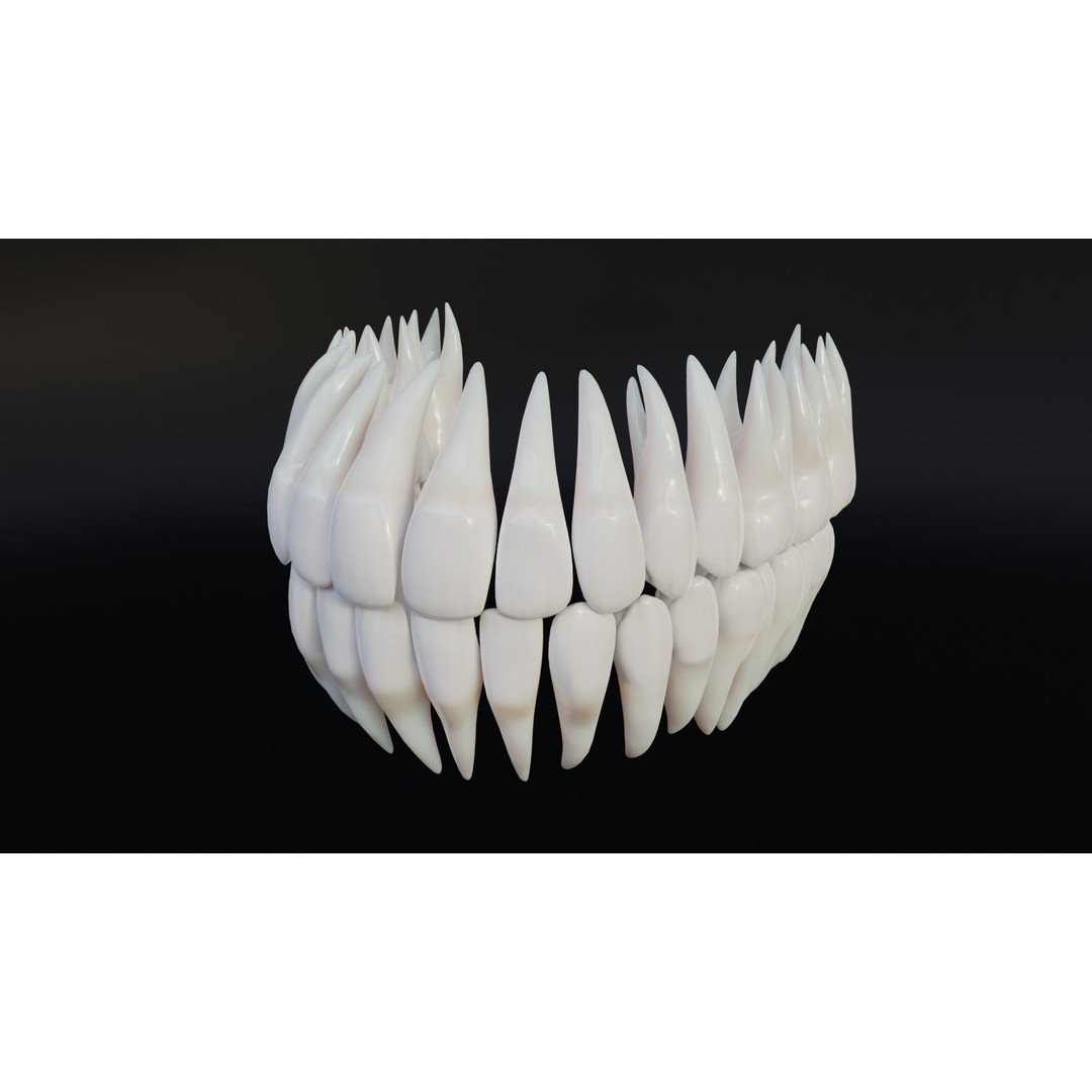 Realistic Human Teeth 3D Model – Low Poly Game Ready with PBR Textures - View 6