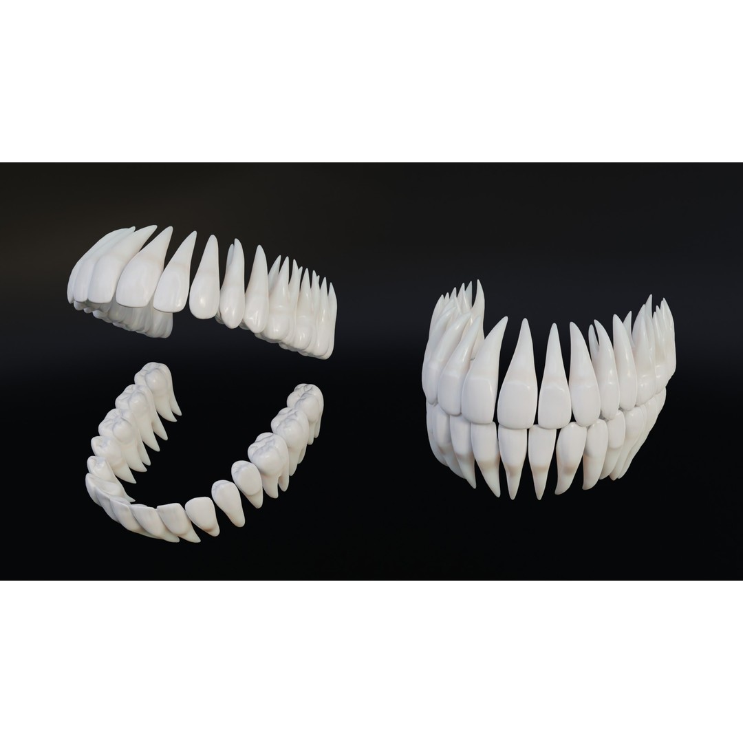 Realistic Human Teeth 3D Model – Low Poly Game Ready with PBR Textures - View 9