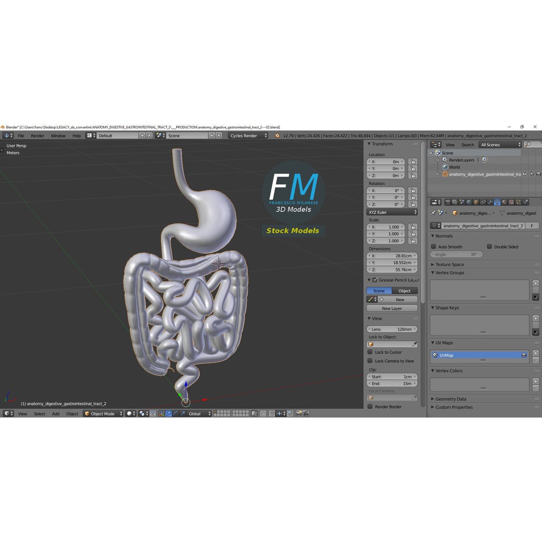 Digestive System 3D Model – PBR Game-Ready Asset, FBX & OBJ - View 10