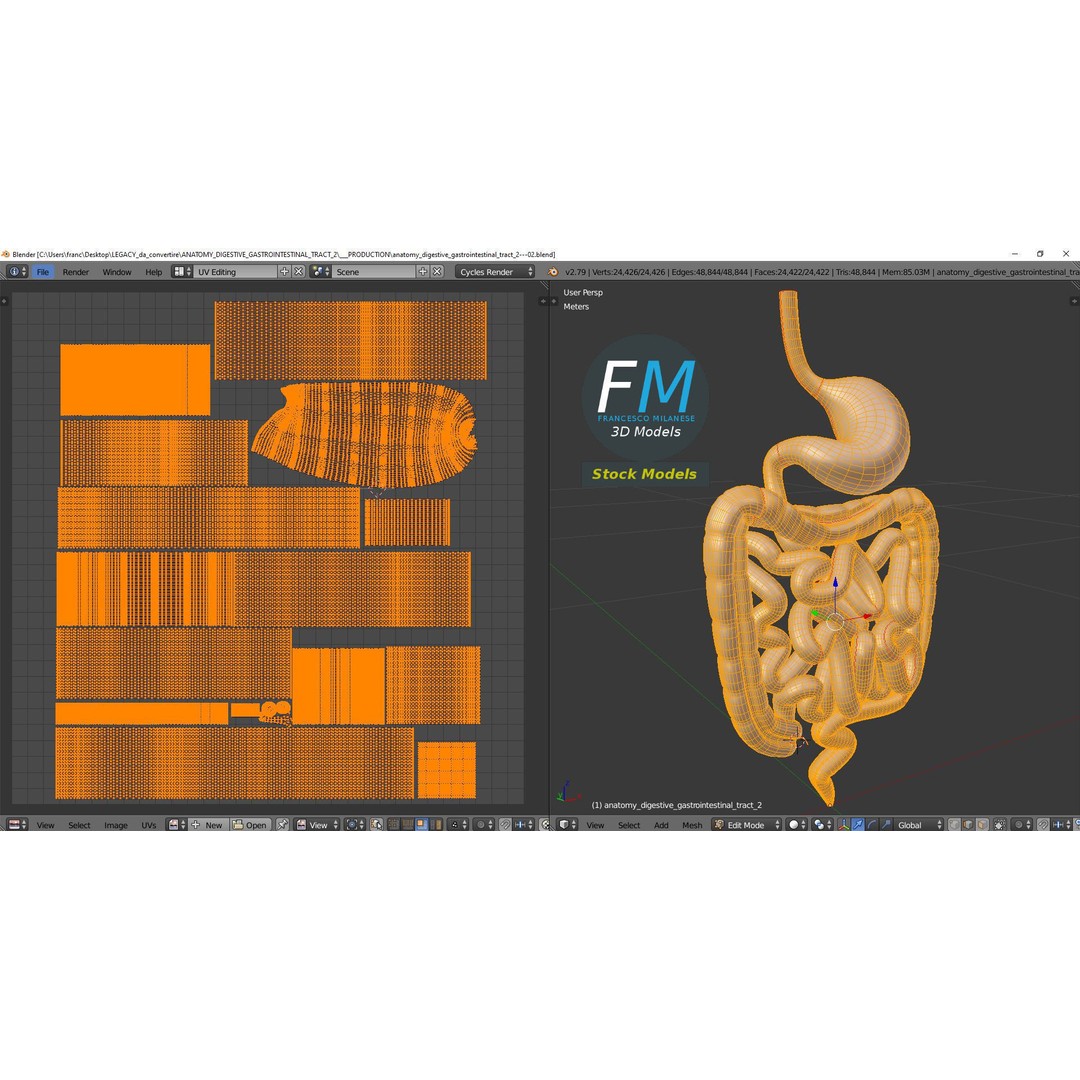 Digestive System 3D Model – PBR Game-Ready Asset, FBX & OBJ - View 11