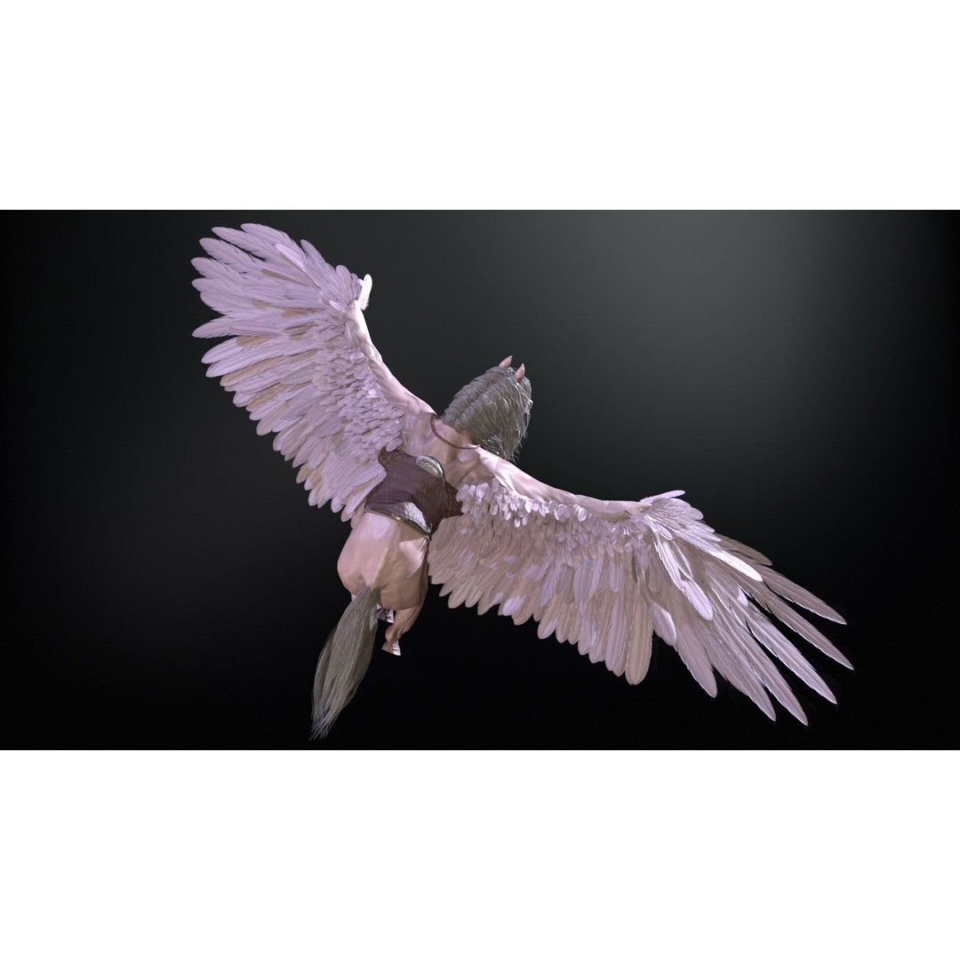 Pegasus 3D Model – Low Poly Animated Character, FBX & Maya - View 15