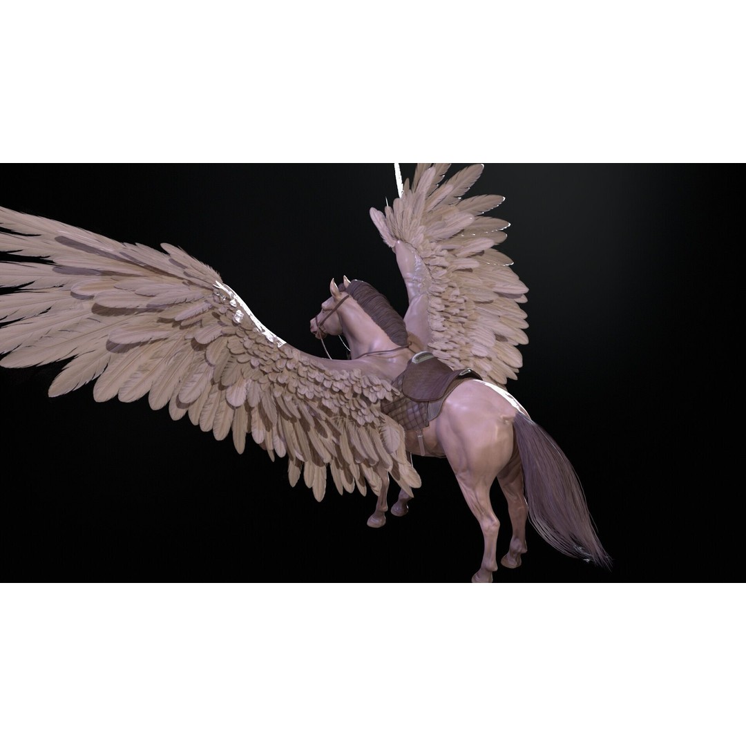 Pegasus 3D Model – Low Poly Animated Character, FBX & Maya - View 23