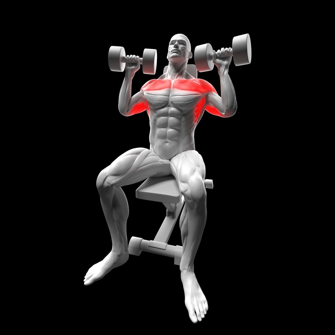 Shoulder Exercise 3D Model – Animated Rigged Character with Equipment - View 5