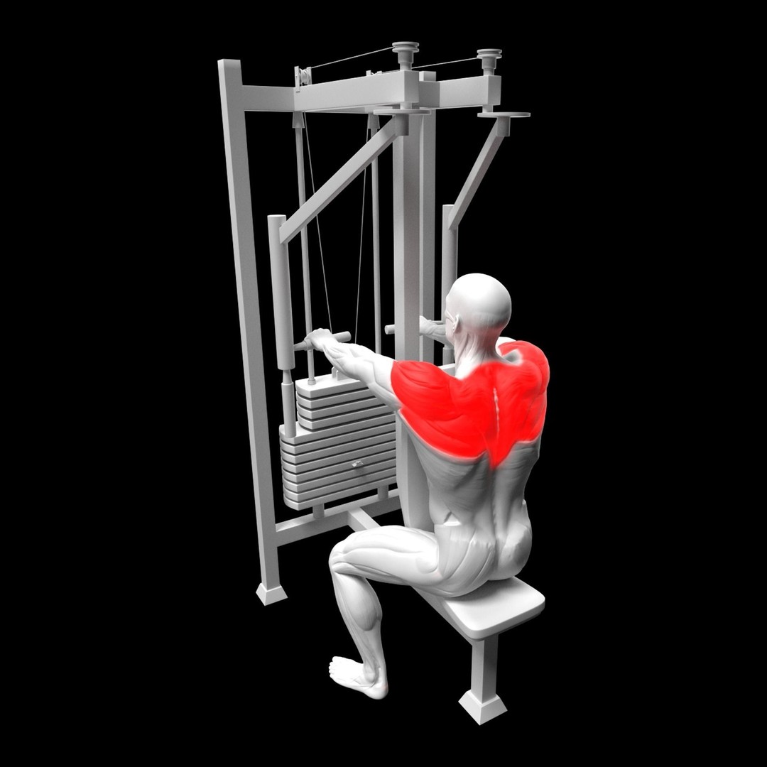 Shoulder Exercise 3D Model – Animated Rigged Character with Equipment - View 7