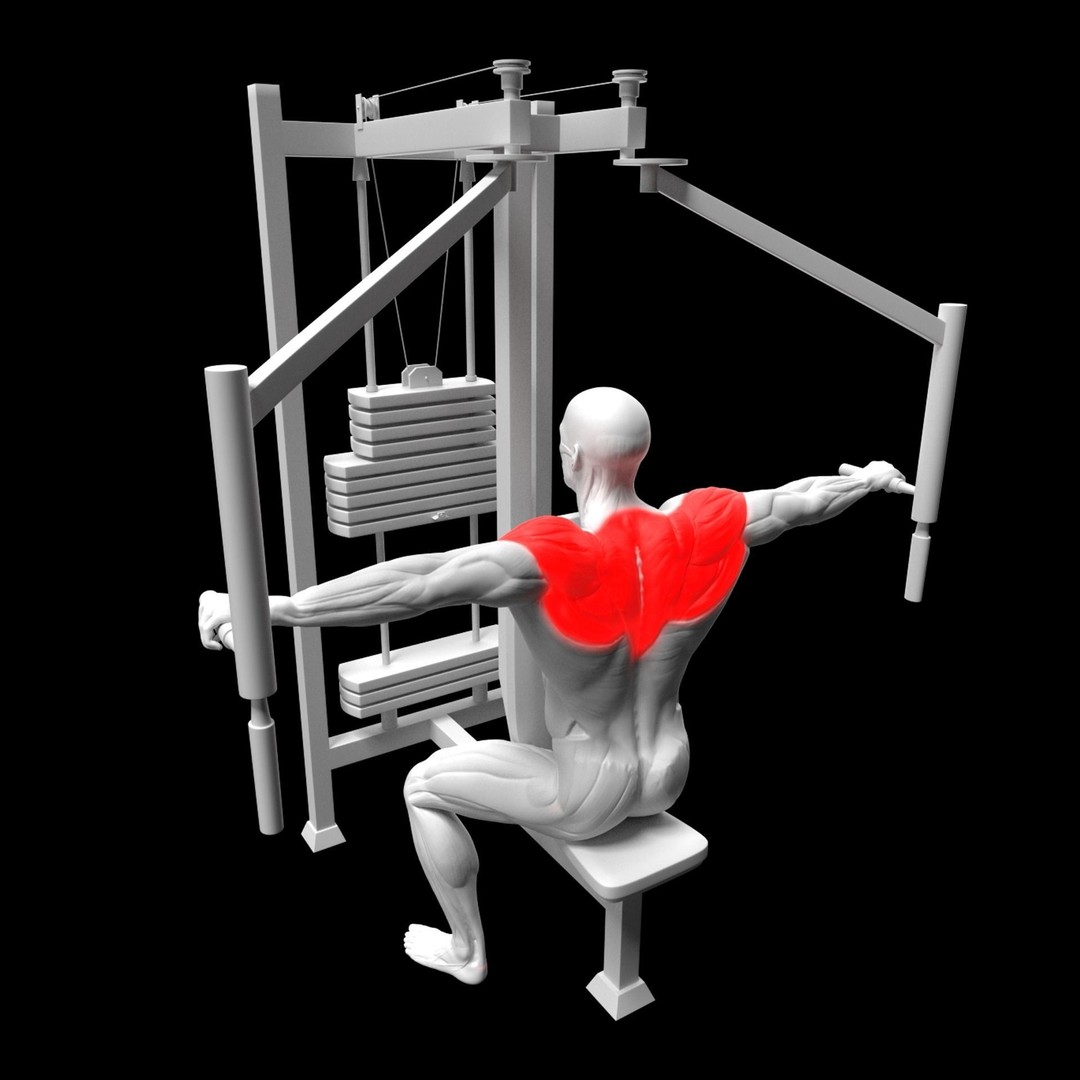 Shoulder Exercise 3D Model – Animated Rigged Character with Equipment - View 8