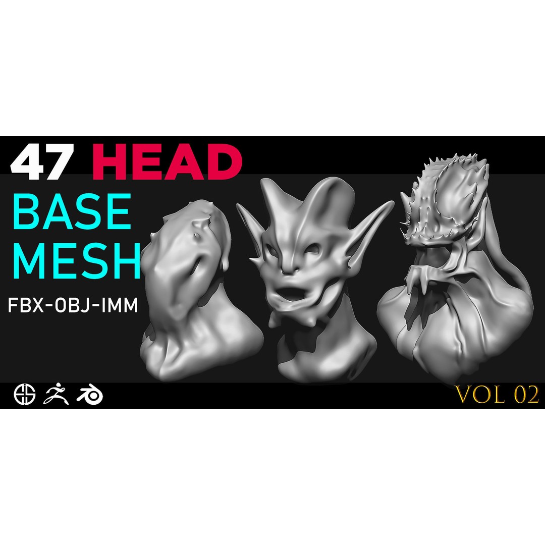 Character Base Mesh 3D Model – Head Anatomy, FBX & OBJ Formats - View 4