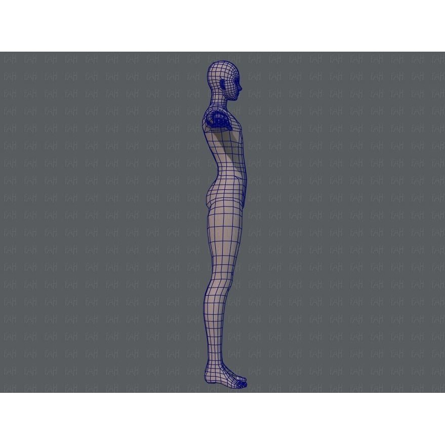 Base Mesh Man Character 3D Model – Low Poly Cartoon Design, FBX - View 13