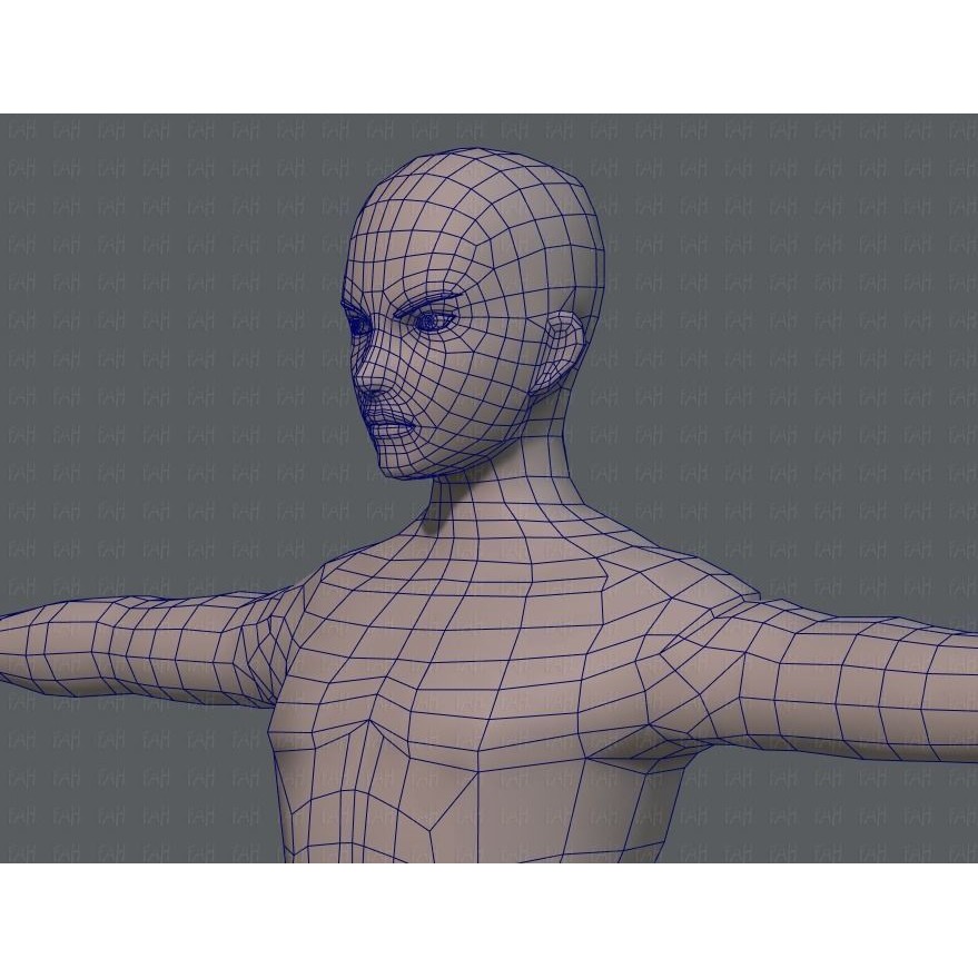 Base Mesh Man Character 3D Model – Low Poly Cartoon Design, FBX - View 34