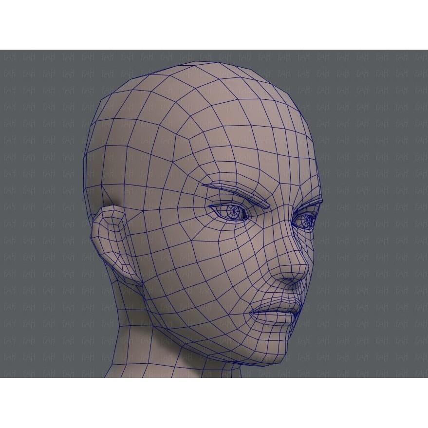 Base Mesh Man Character 3D Model – Low Poly Cartoon Design, FBX - View 38