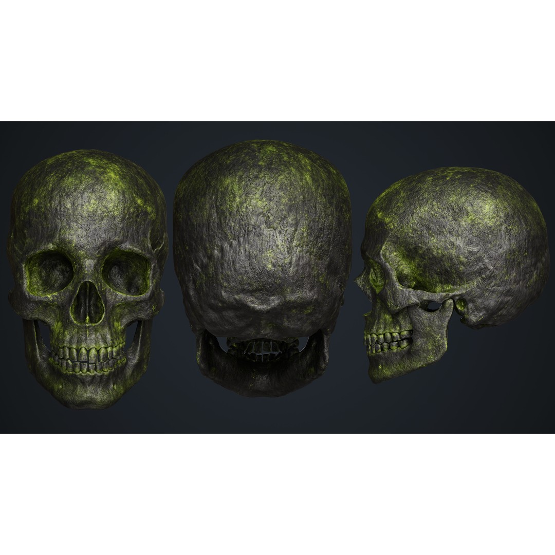 Skeleton 3D Model – Low Poly Game Asset, FBX & Blender Formats - View 18