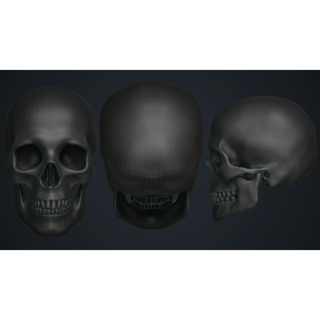 Skeleton 3D Model – Low Poly Game Asset, FBX & Blender Formats - View 19