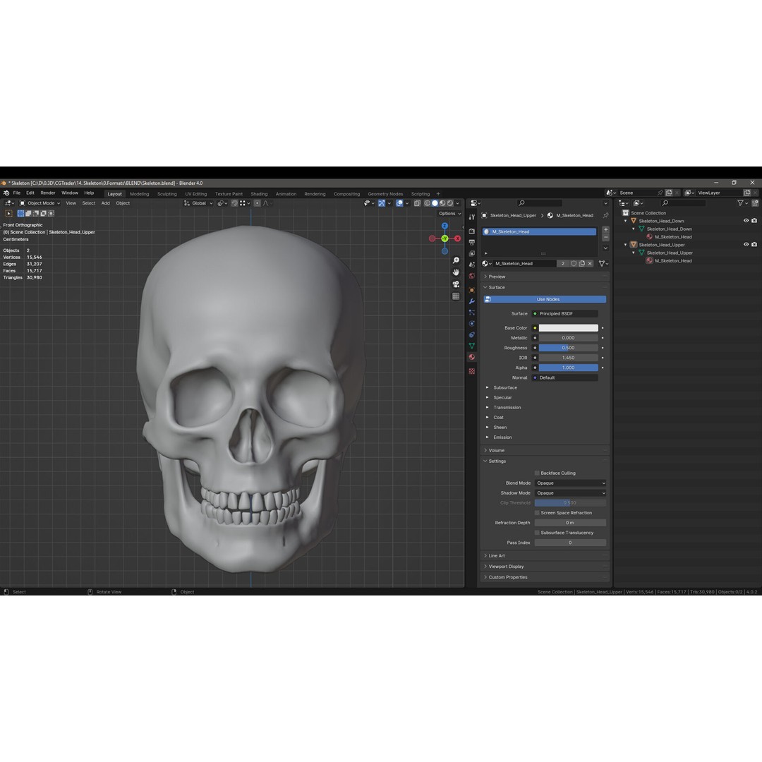 Skeleton 3D Model – Low Poly Game Asset, FBX & Blender Formats - View 20